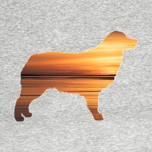 Australian Shepherd Sunset T-Shirt